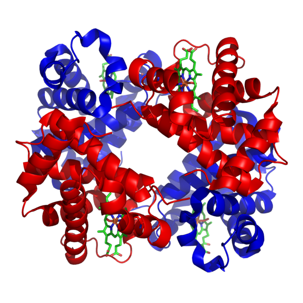 Protein Structure A Level Notes