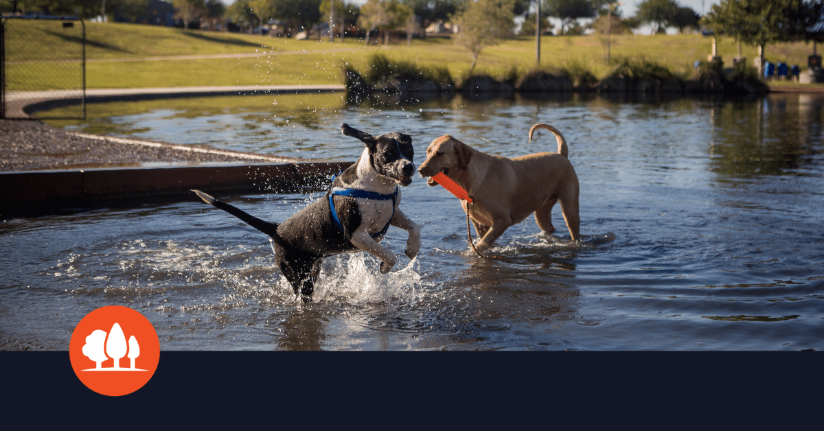 Community Feedback Cosmo Dog Park Survey • Alex • Gilbert, AZ Open Data