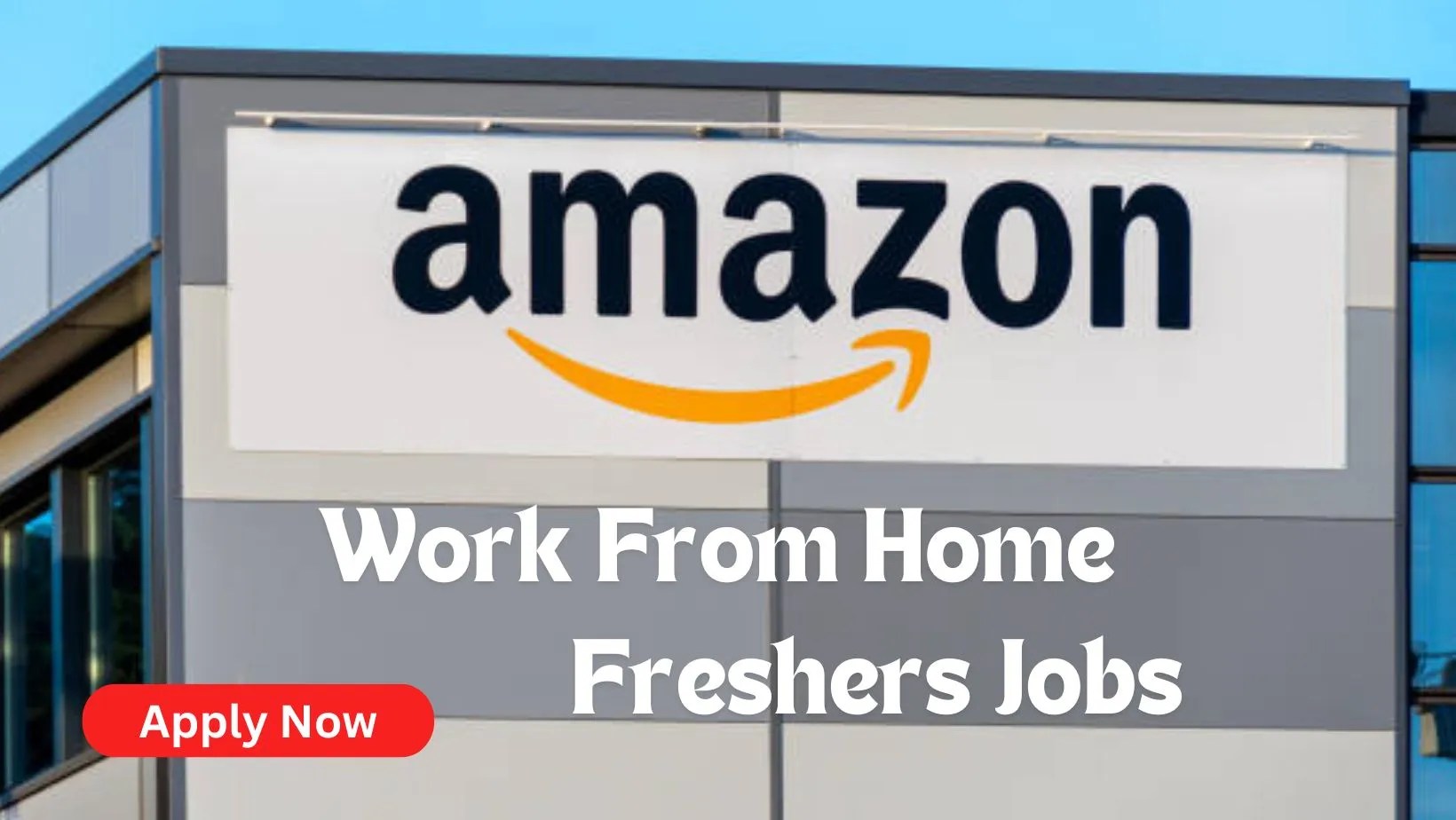Amazon Part Time Jobs for Data Entry Remote Work Apply Now