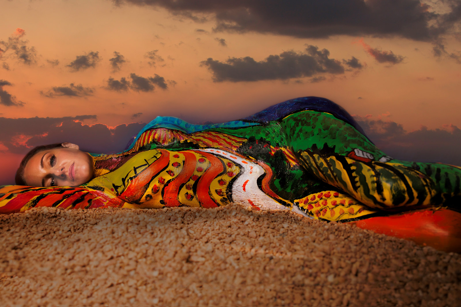 ERIC FITZPATRICK & MIKE WILSON Alexander / Heath Contemporary Art Gallery