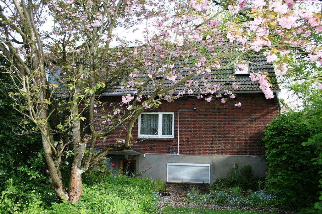 Doppelhaushälfte FarmsenBerne Handwerkerhaus mit traumhaftem Garten