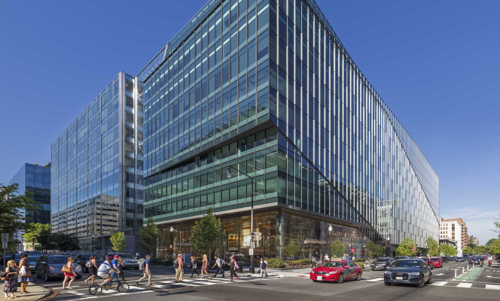 Alexander Court Rockrose