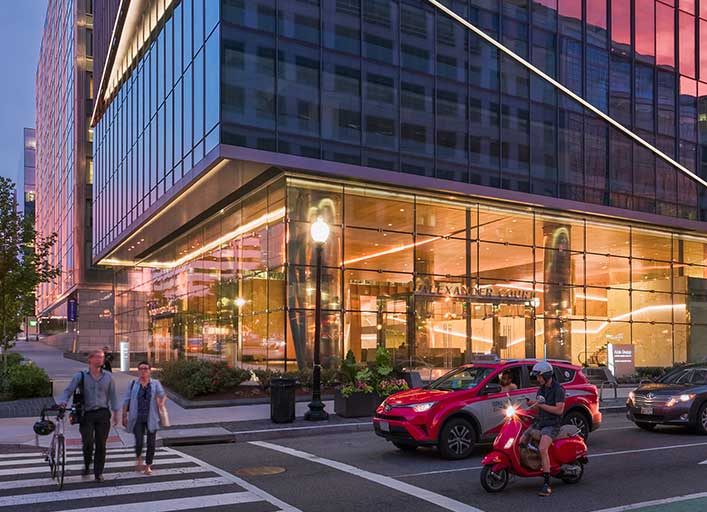 Alexander Court Rockrose