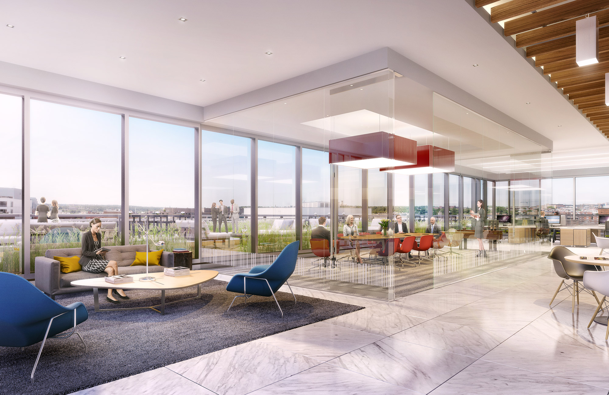 Alexander Court Rockrose