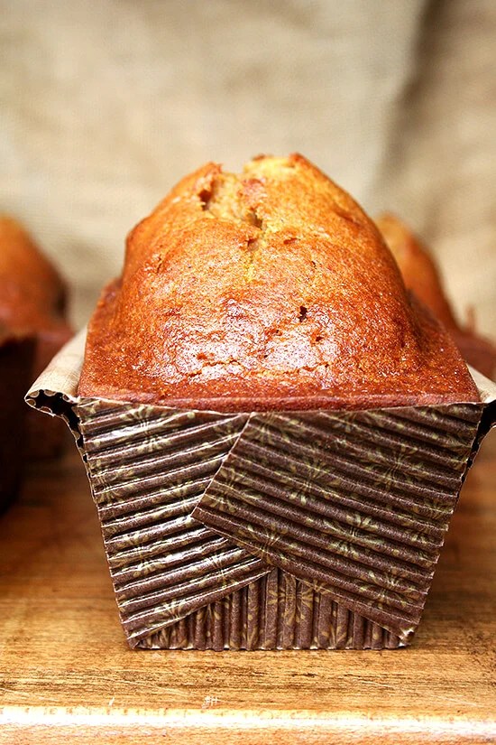 Del Monte Pumpkin Bread Recipe