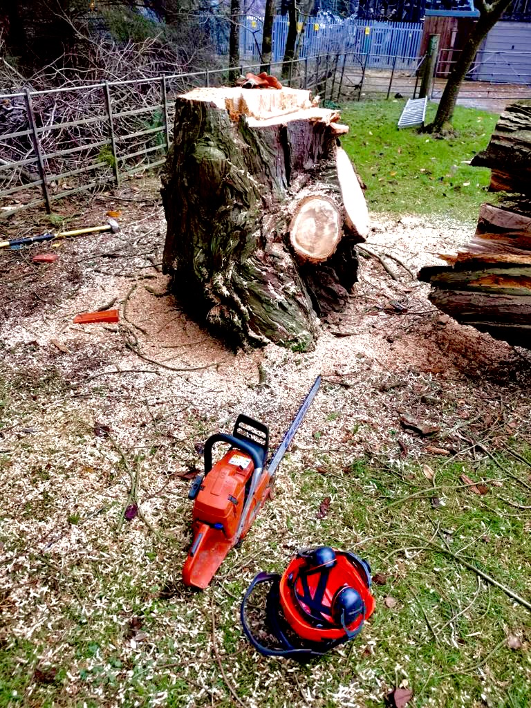 Gallery Alex Butter Landscaping