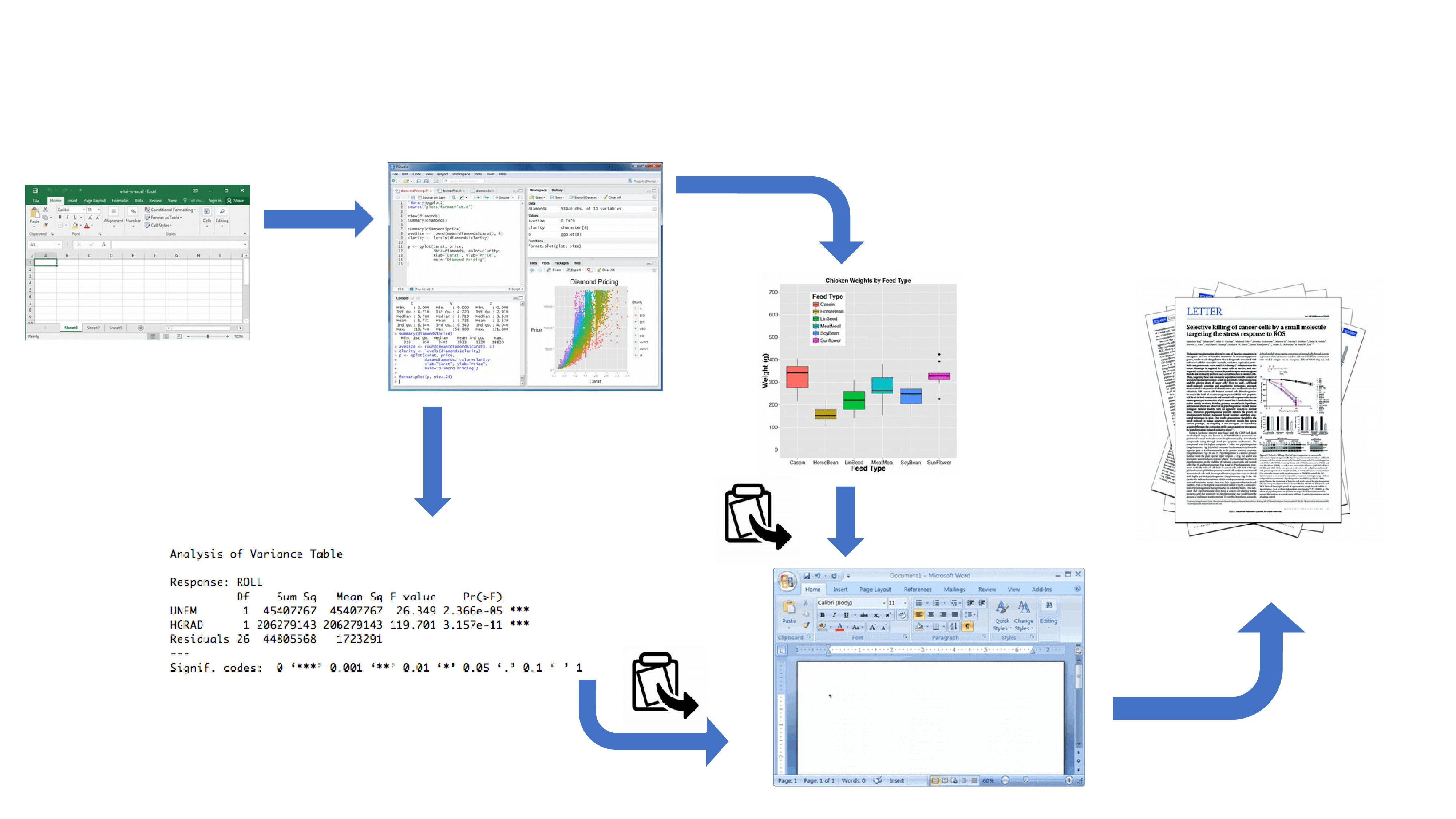 Introduction to R markdown