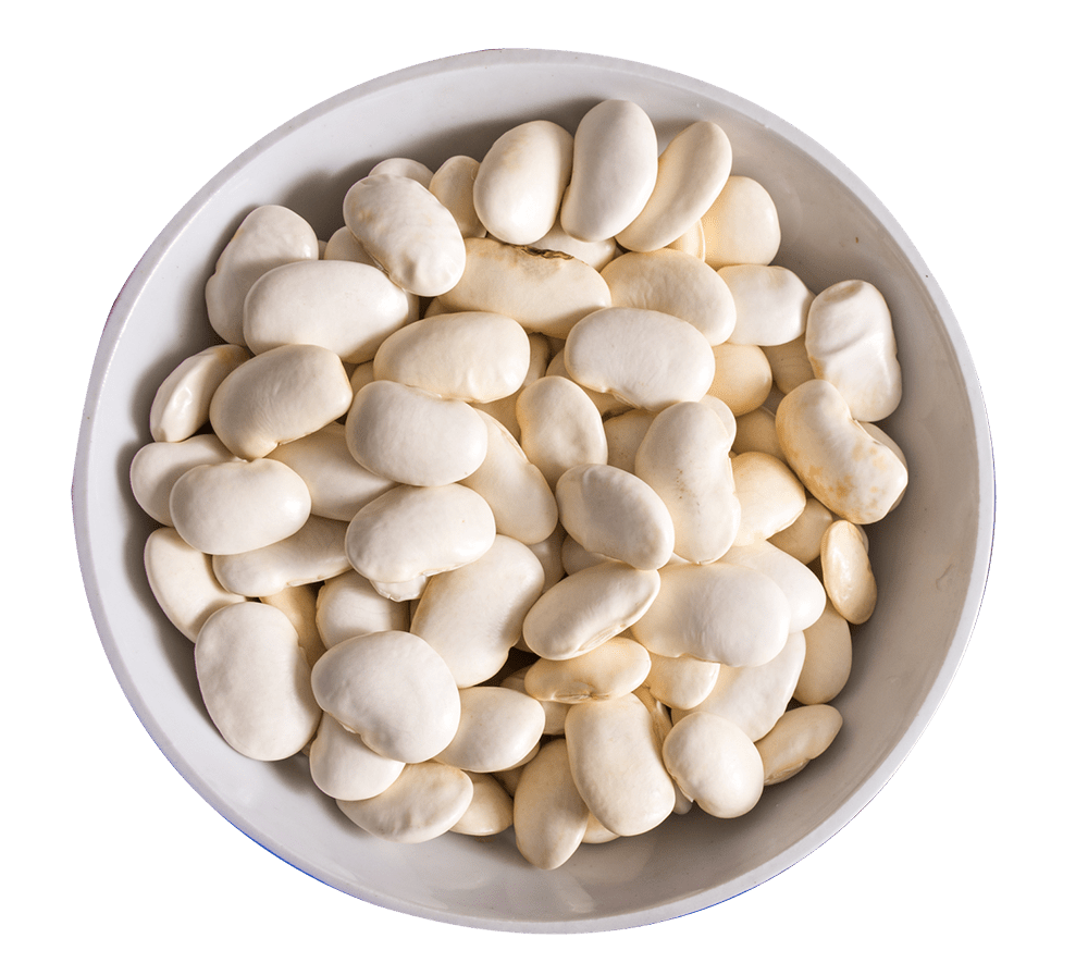 White Beans Alex farm