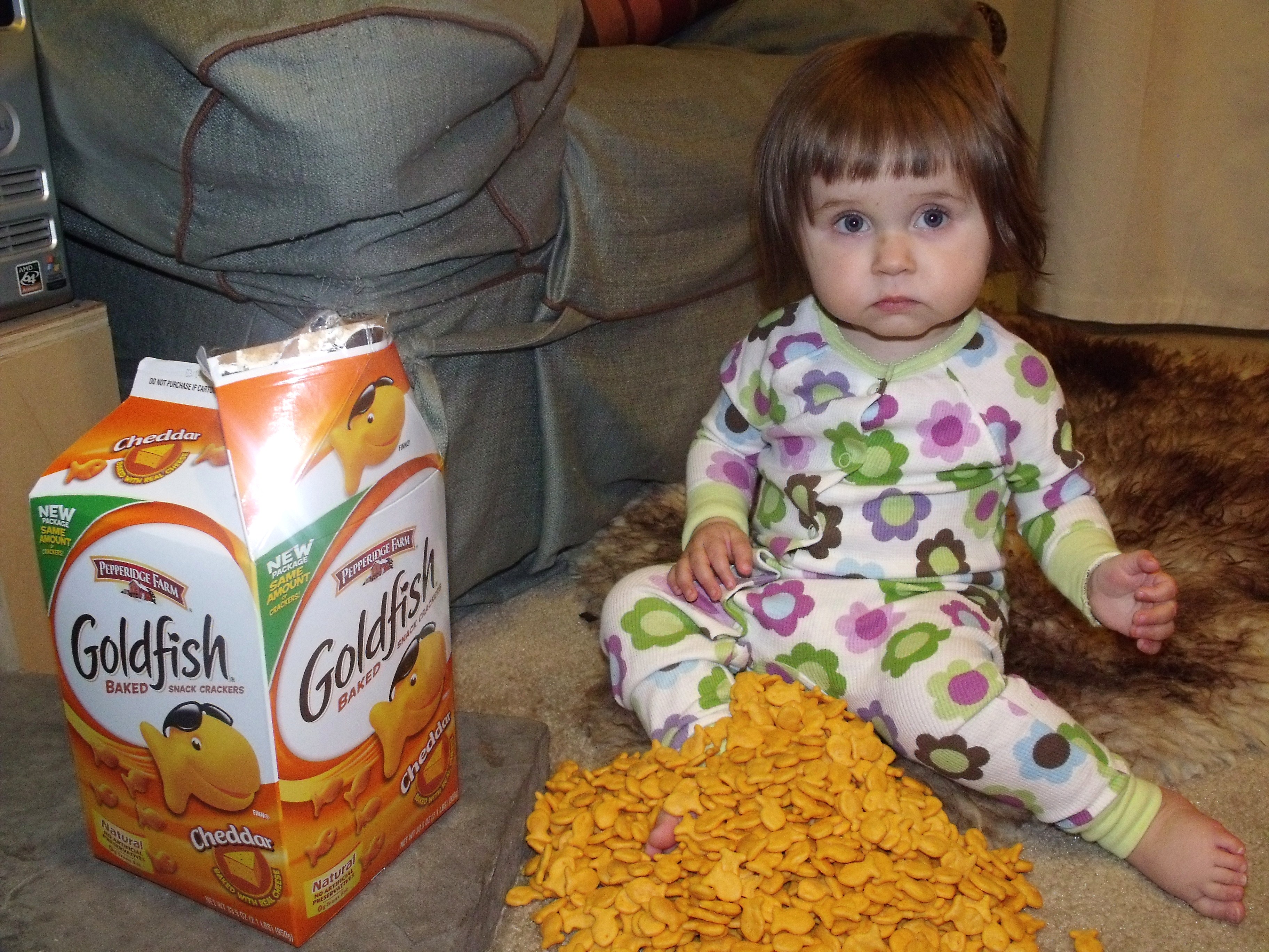 26 Signs Your Addiction To Goldfish Crackers Has Gotten Out Of Control(017)