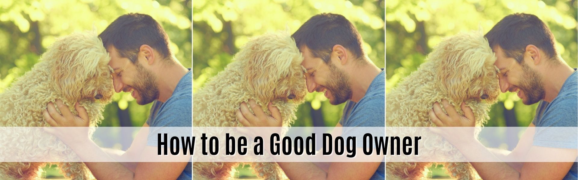 10 Taboo Ideas on How to Be a Good Dog Owner