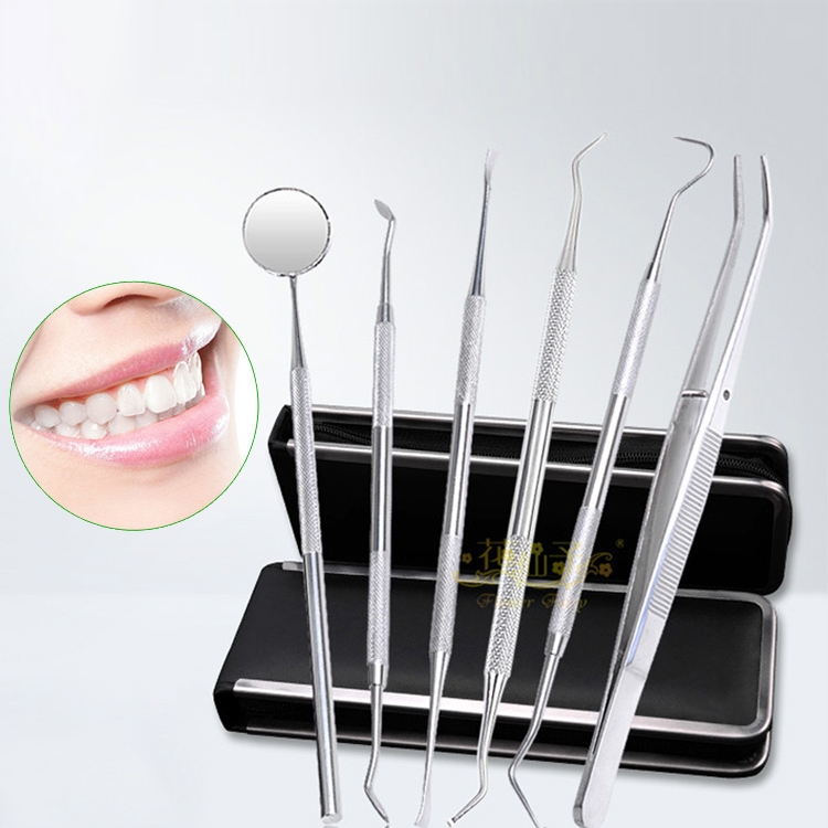 6 in 1 Dental Tool Set (Stainless Steel Probe + Hoeshaped Dentist + Sickle Dentist + Tooth