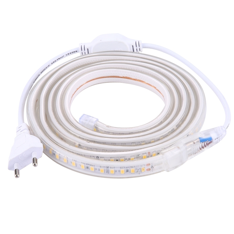 Casing Waterproof IP65 SMD 5730 LED Light Strip with Power Plug, 120