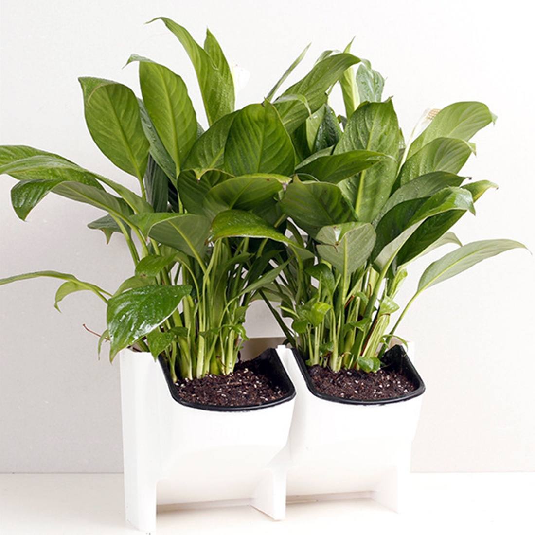 PP Planter Flower Pot Wall Hanging Garden Hanging