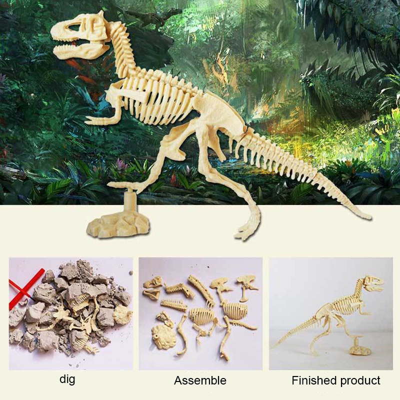Assembling Dinosaur Fossil Skeleton Simulation Archaeological