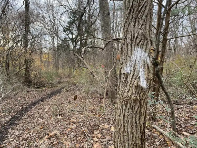 The Ultimate Guide to Muttontown Preserve Alex on the Map