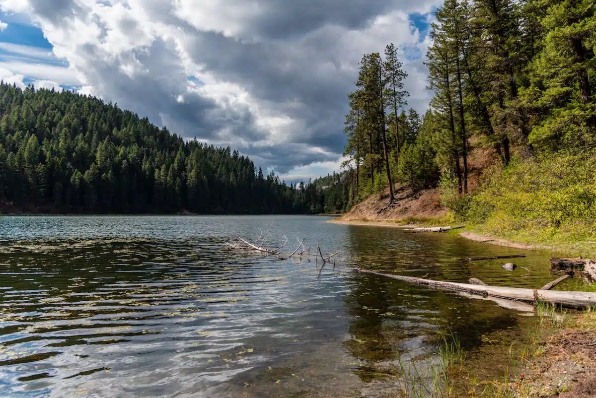 The Ultimate Guide to the Kaniksu National Forest Alex on the Map