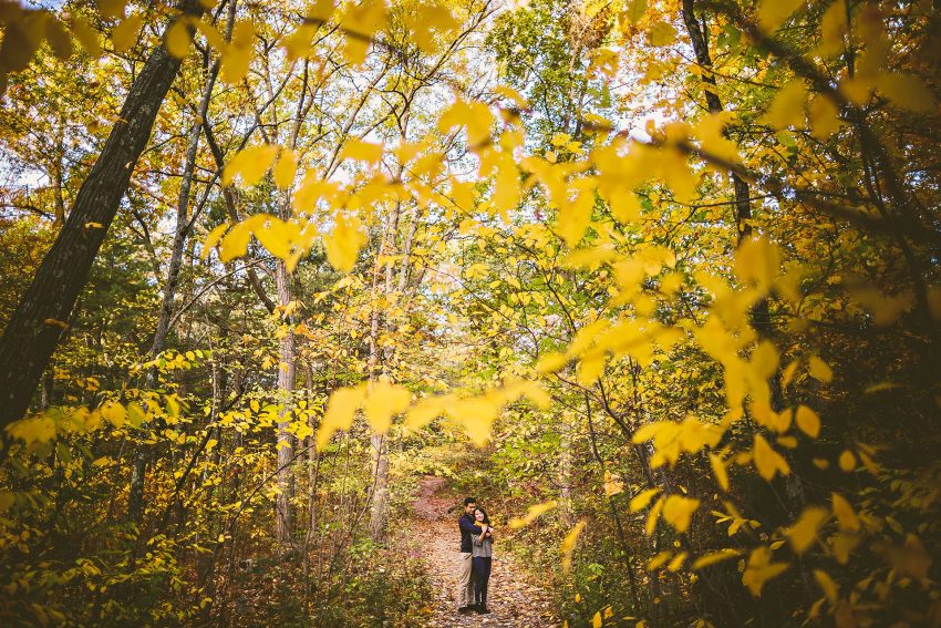 Engagement photos with fall leaves