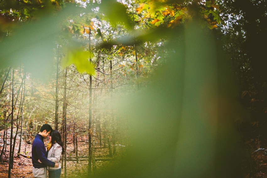 Middlesex Fells engagement session
