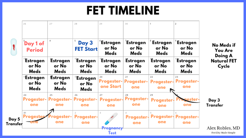 The IVF Frozen Embryo Transfer Timeline Explained (Step by Step) Alex