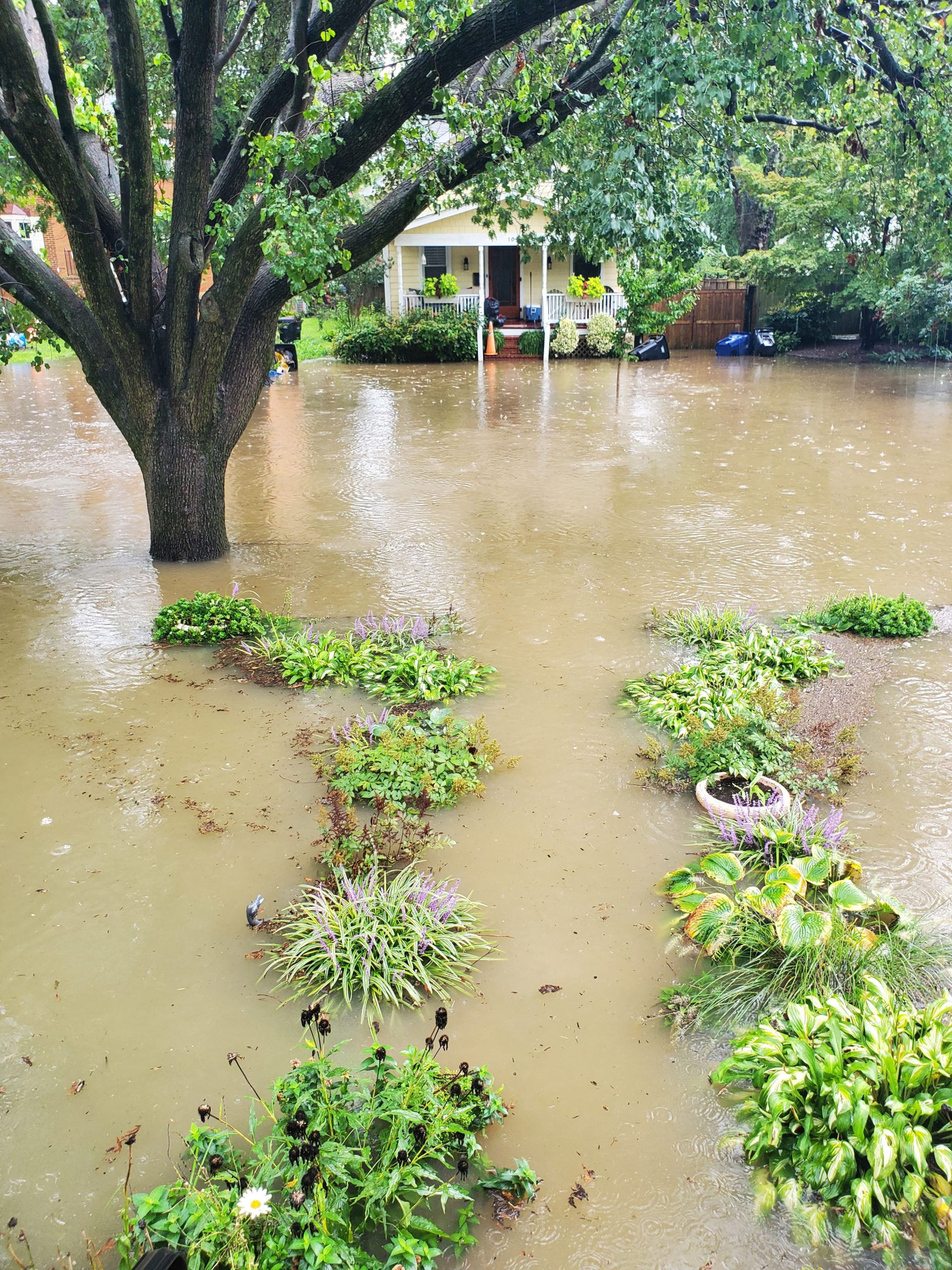 City experiences another ‘100year’ flood Alexandria Times