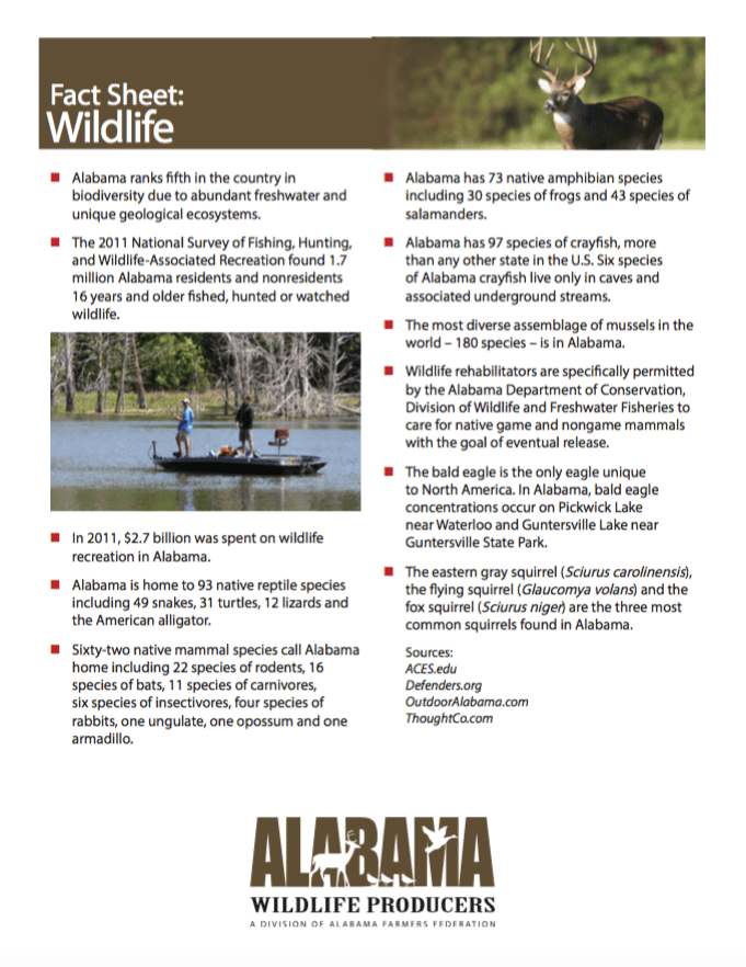 Abundant Wildlife Awaits You in Alabama Alabama Farmers Federation