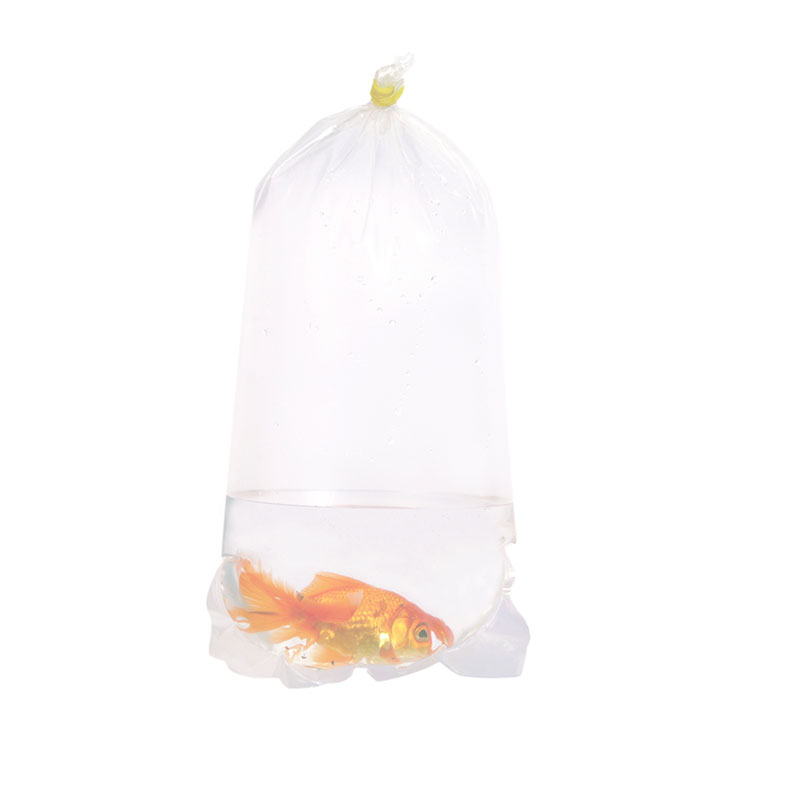 Pack of 1000 Plastic Fish Bags of Size 7 x 14 Inches Clear Polyethylene