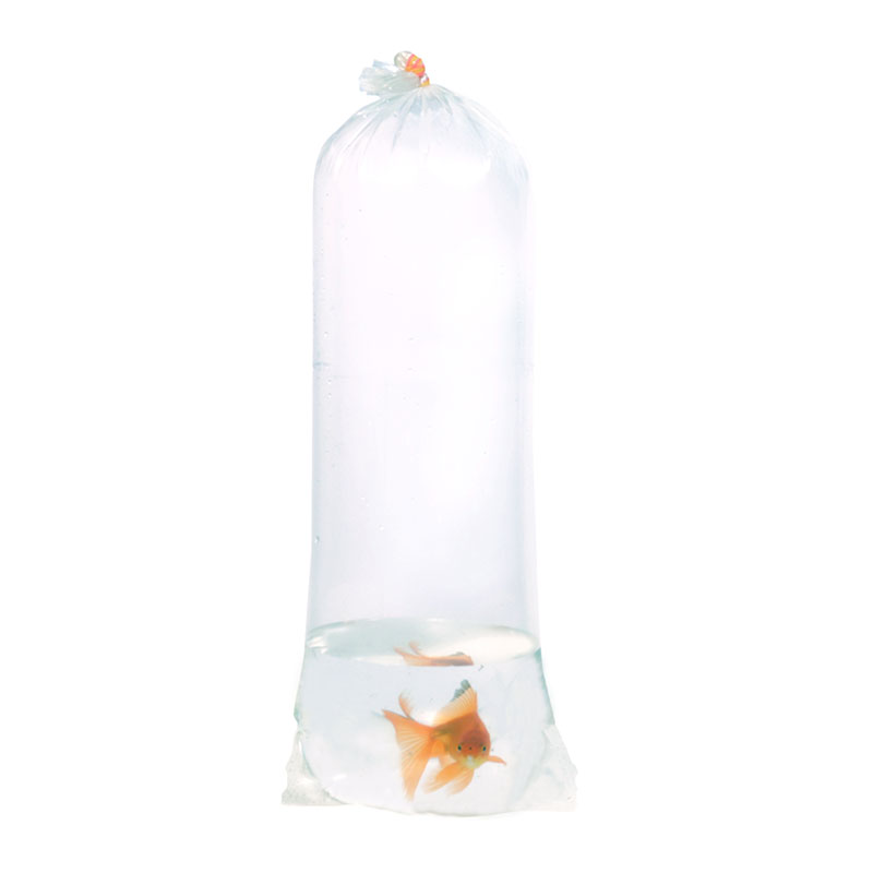 Pack of 1 kg. Plastic Fish Bags of Size 6 x 18 Inches Clear