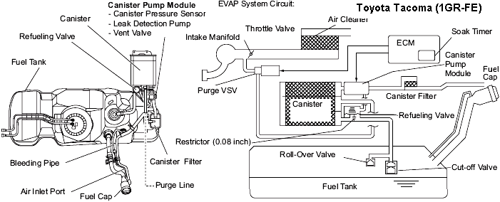 2007 e350 evap system diagram. Evaporative Emission Control System