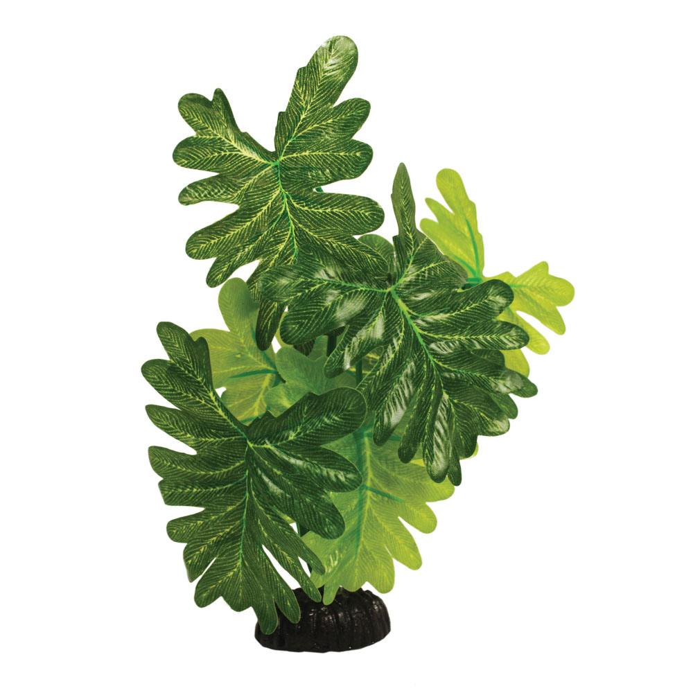 Indian Fern Silk Aquascaping Aquarium Plant ALF