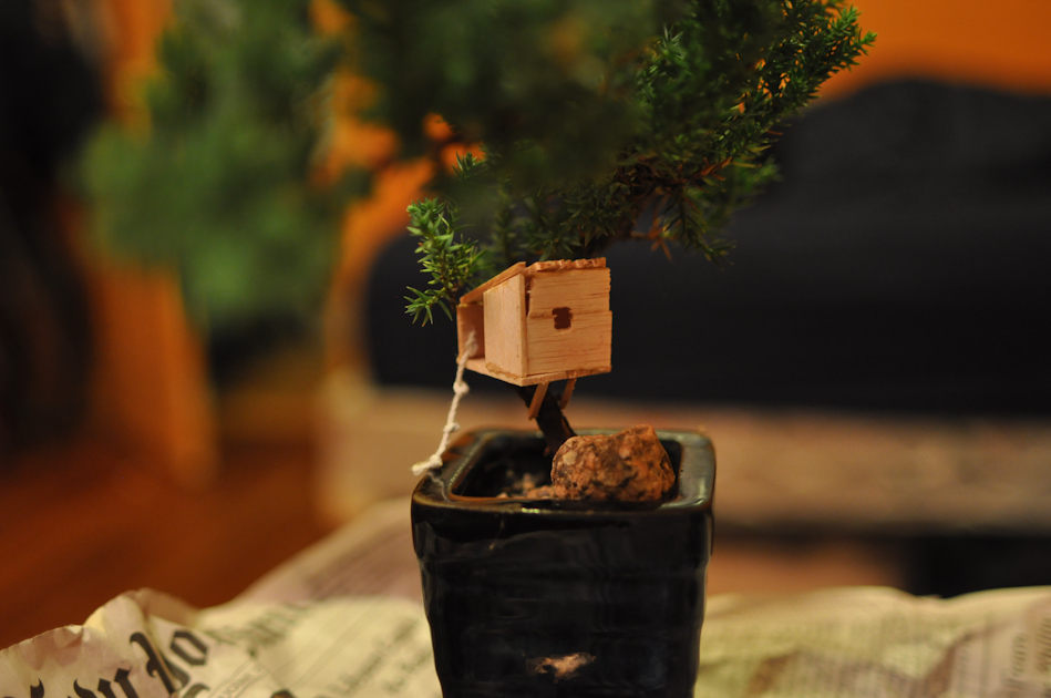 Bonsai Tree House Alfred Megally