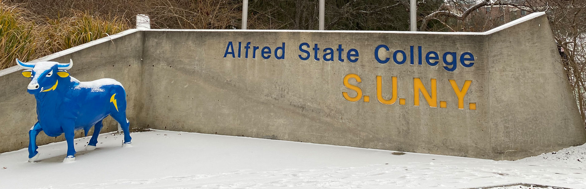 Alfred Student Storage Hornell NY 14843 Affordable Storage Options