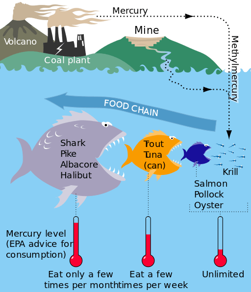 “Chapter 3 NonRenewable Energy” in “Introduction to Environmental