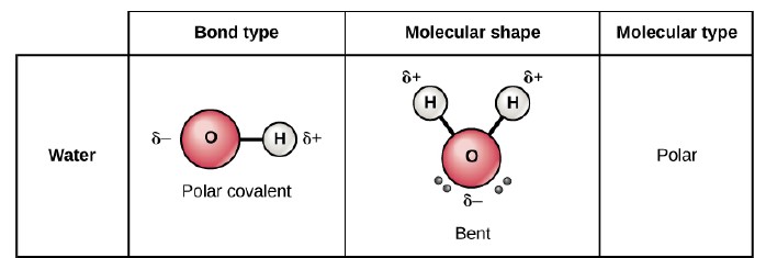 “Chapter 7 Water” in “Introduction to Environmental Science” on OpenALG