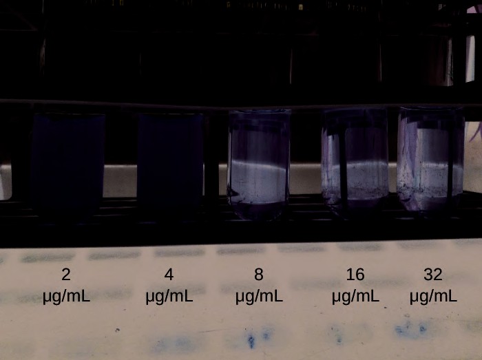 “Chapter 14” in “Part Two” on OpenALG