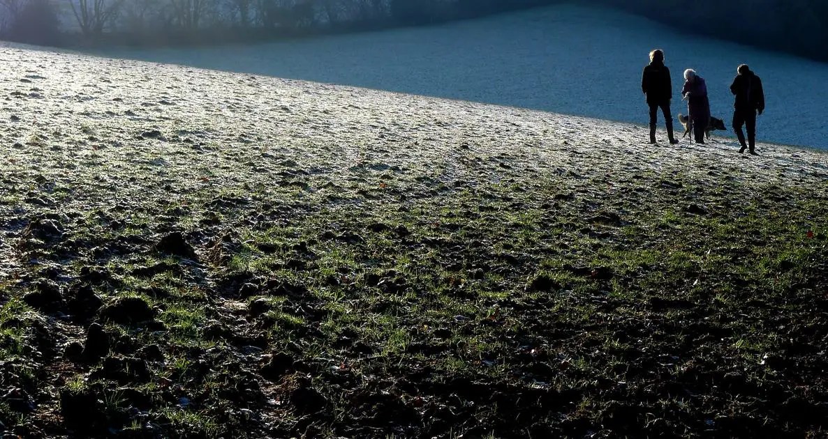 Do Algae Have Vacuoles? Uncovering the Truth About Algal Cellular Structures Algae Elimination