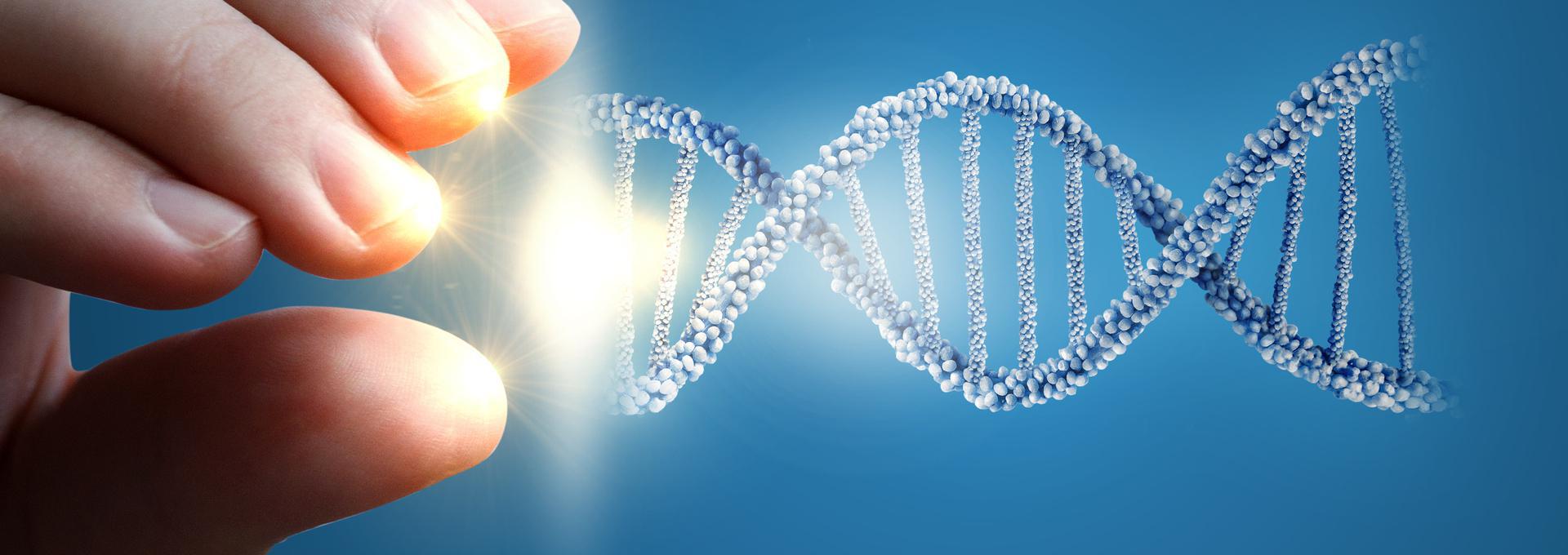 The Power of DNA Testing Explained Uncovering Insights into Nutrition