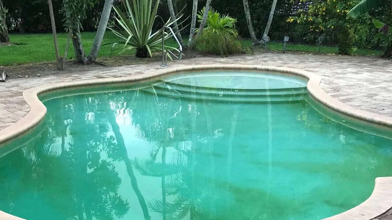 Yellow Pool Algae Risks, Prevention, and Treatment Guide for a