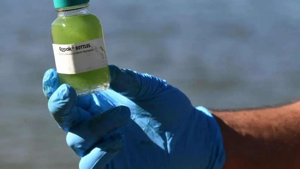 How To Test For Algae In Drinking Water