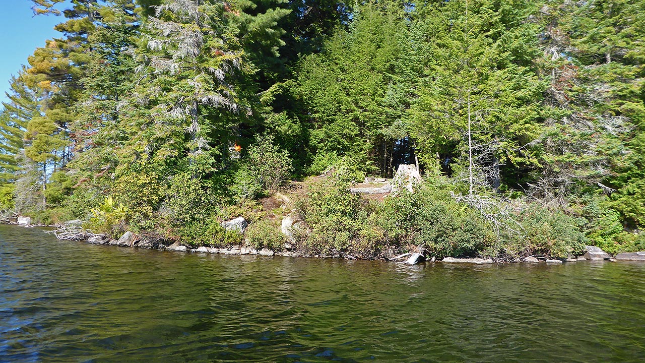 Three Mile Lake Campsite 7