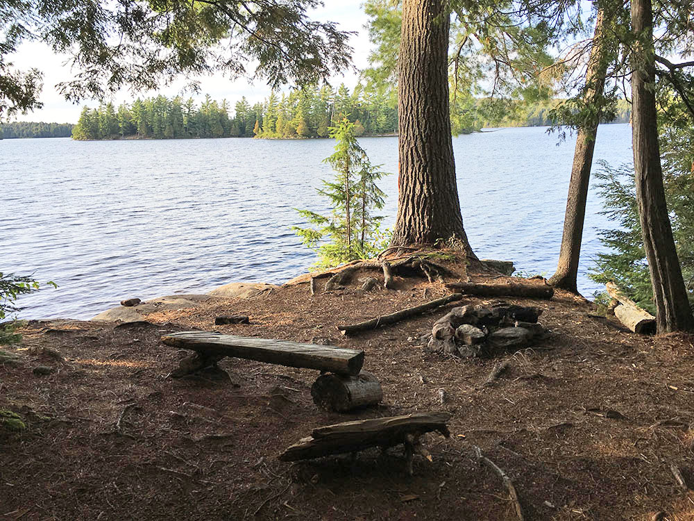 McIntosh Lake Campsite 13 in Algonquin Park Campsite Report
