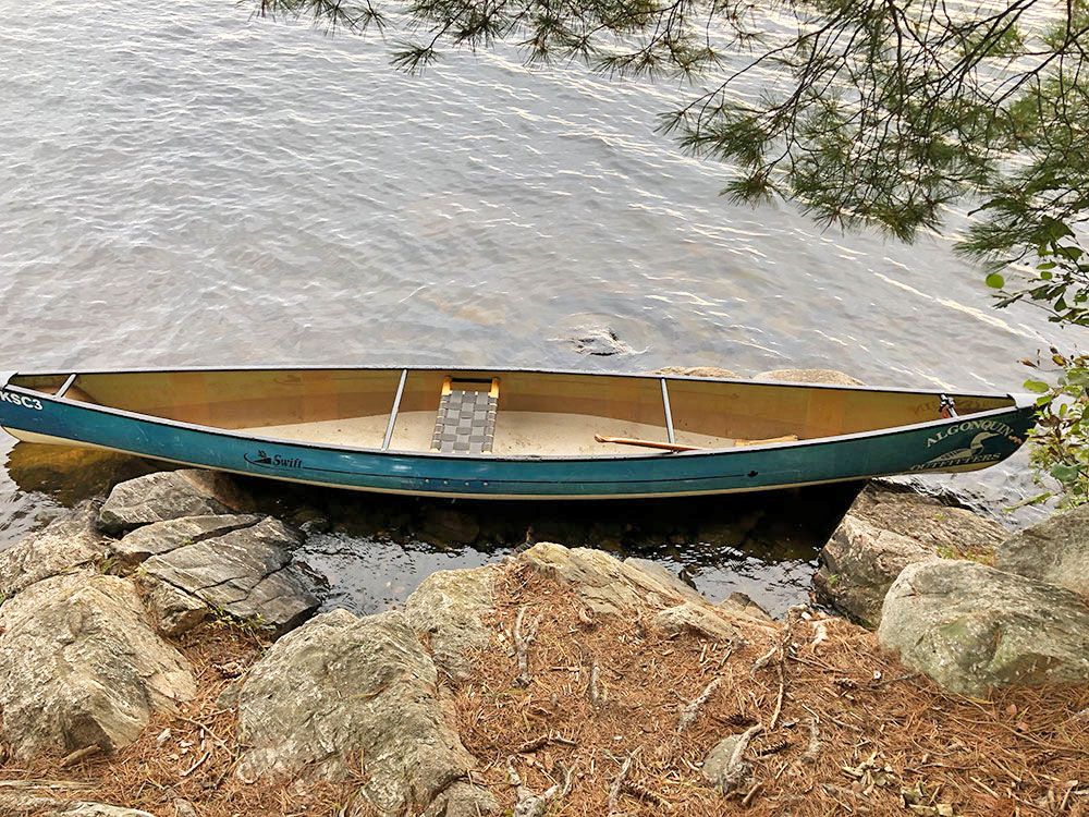 Big Trout Lake Campsite 11 in Algonquin Park Campsite Report