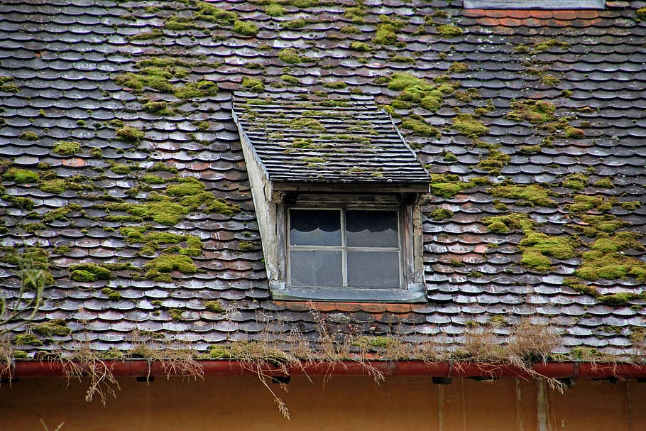 Making Sure Your Roof Is Good Algonquin Project Homes