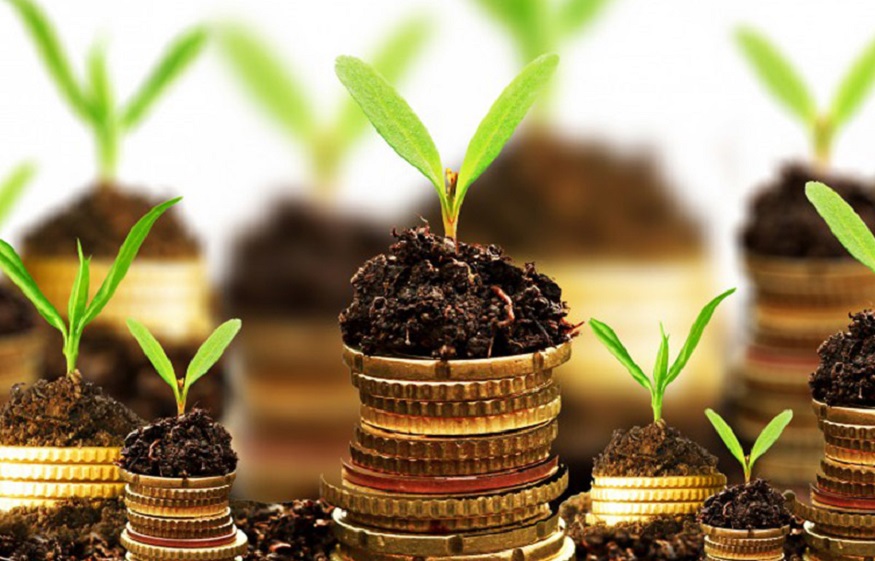 The 6 most profitable investments in 2020