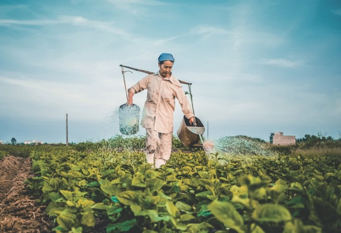 How Taranis Uses AI to Provide Commodity Crop Insights to Farmers