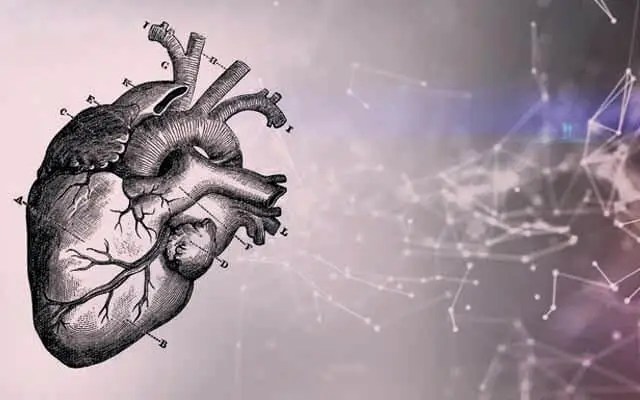 Bay Labs's technology applying artificial intelligence to cardiovascular imaging