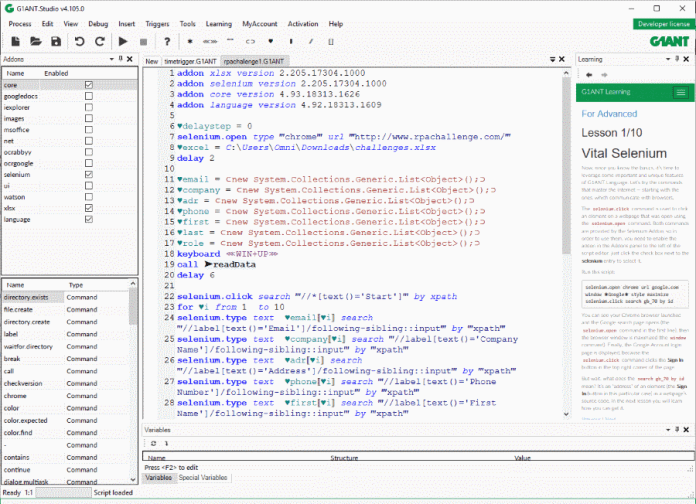 G1ant provides powerful RPA software aimed at developers.