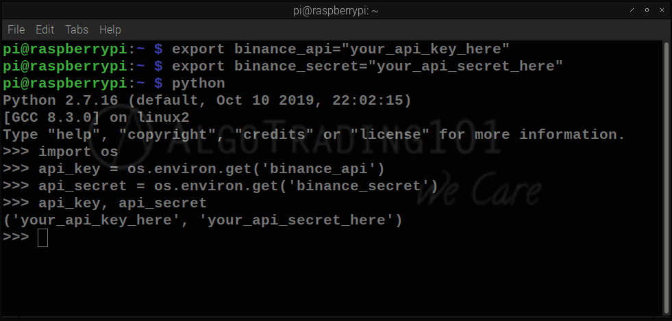 Binance Python API A StepbyStep Guide AlgoTrading101 Blog