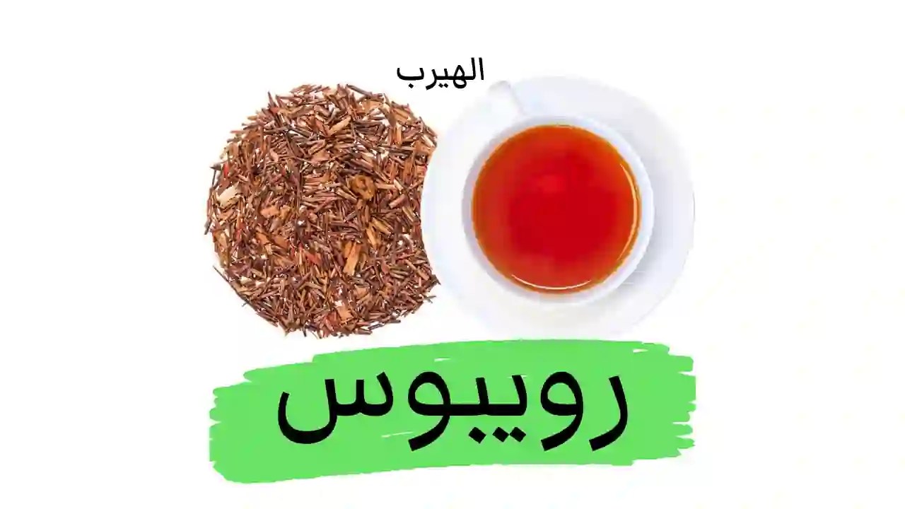 أضرار وفوائد شاي الرويبوس (Rooibos Tea الرُّيْبُس )لصحة الجسم أعشاب