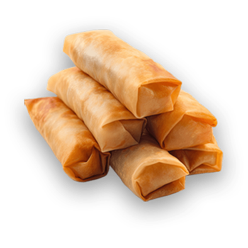 Spring Rolls Ali Baba Kebabs
