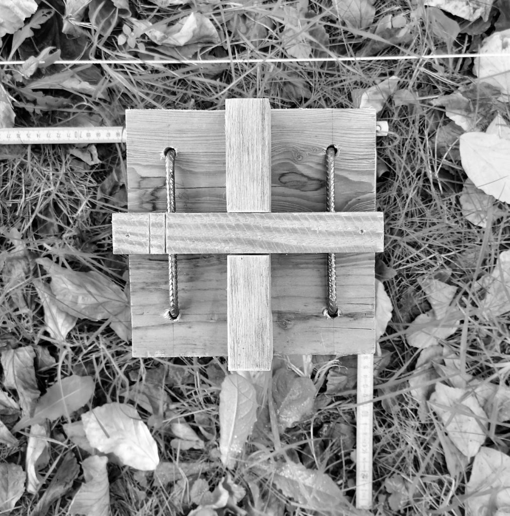 Earth and Wood AliceBlogs